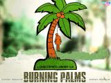 Burning Palms (2010)